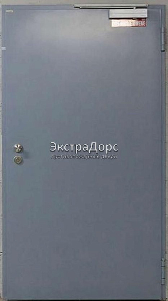 Противопожарная дверь однопольная дымогазонепроницаемая металлик в Наро фоминске  купить