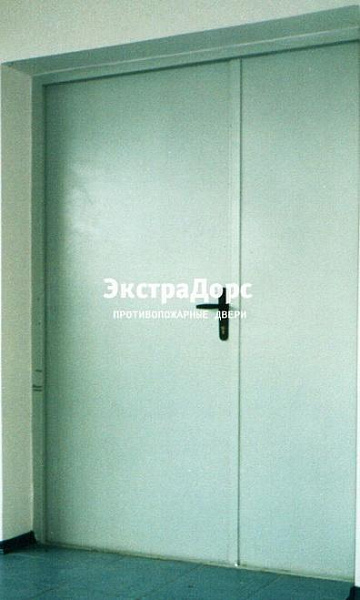 Противопожарная дверь двупольная белая без порога в Наро фоминске  купить